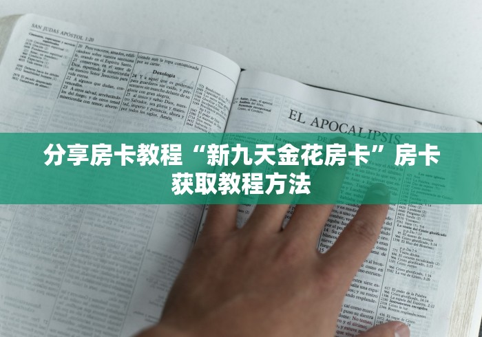 分享实测“新大圣牛牛金花房卡”房卡详细充值