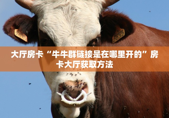 分享实测“微信炸 金花链接在哪买”获取房卡教程-哔哩哔哩