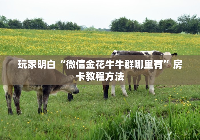 房卡必备教程“微信炸 金花房卡链接怎么搞”详细房卡怎么购买教程