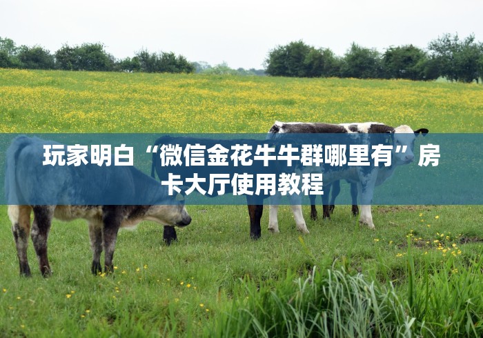 一分钟介绍使用“牛牛链接房卡找谁购买”详细房卡怎么购买教程