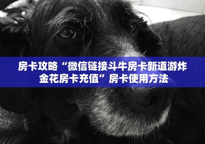 玩家攻略“微信群炸 金花链接房卡”详细房卡怎么购买教程