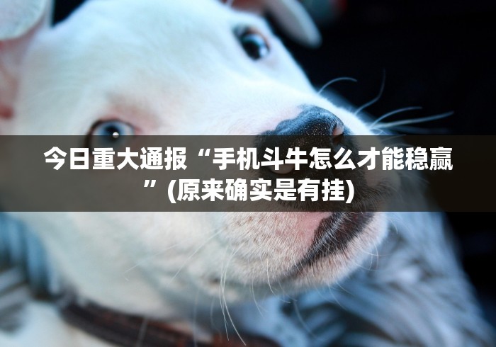 一分钟介绍使用“狂飙大厅牛牛金花房卡”房卡使用教程