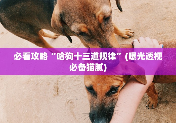 秒懂百科“微信牛牛房卡哪里买”链接房卡在哪里获取