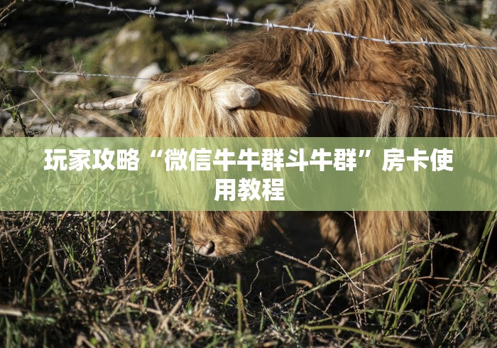 玩家攻略“微信牛牛群斗牛群”房卡使用教程