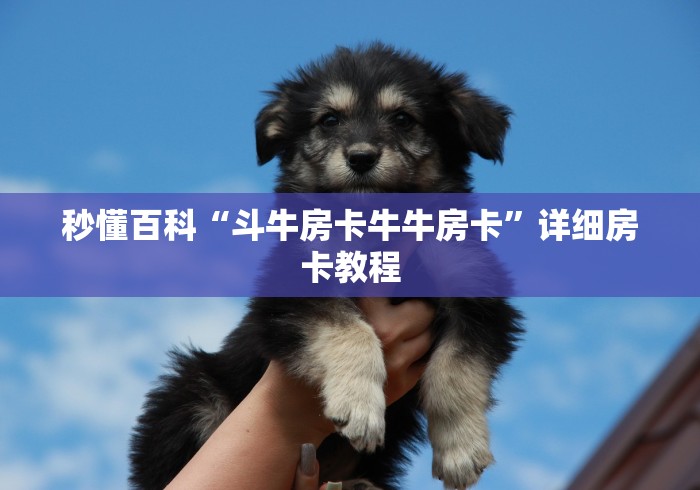 一分钟了解“牛魔王牛牛房卡”房卡怎么购买