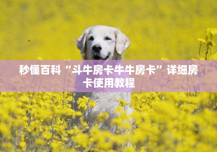 秒懂百科“斗牛房卡牛牛房卡”详细房卡使用教程