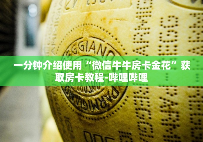 一分钟介绍使用“微信牛牛房卡金花”获取房卡教程-哔哩哔哩