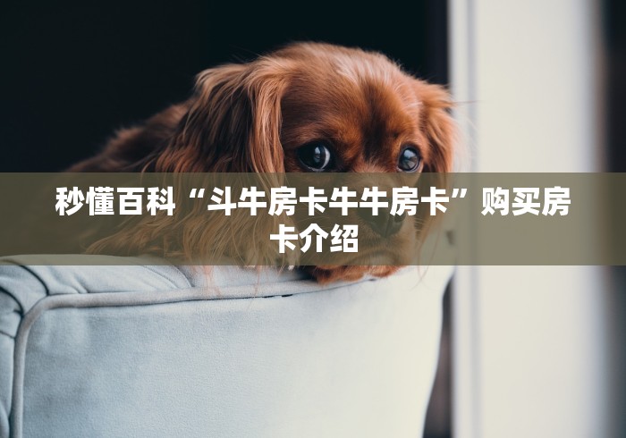 秒懂百科“斗牛房卡牛牛房卡”购买房卡介绍