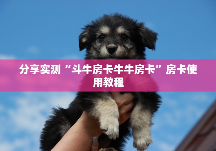 分享实测“斗牛房卡牛牛房卡”房卡使用教程