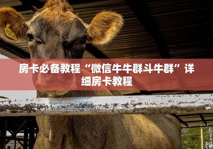 房卡必备教程“微信牛牛群斗牛群”详细房卡教程